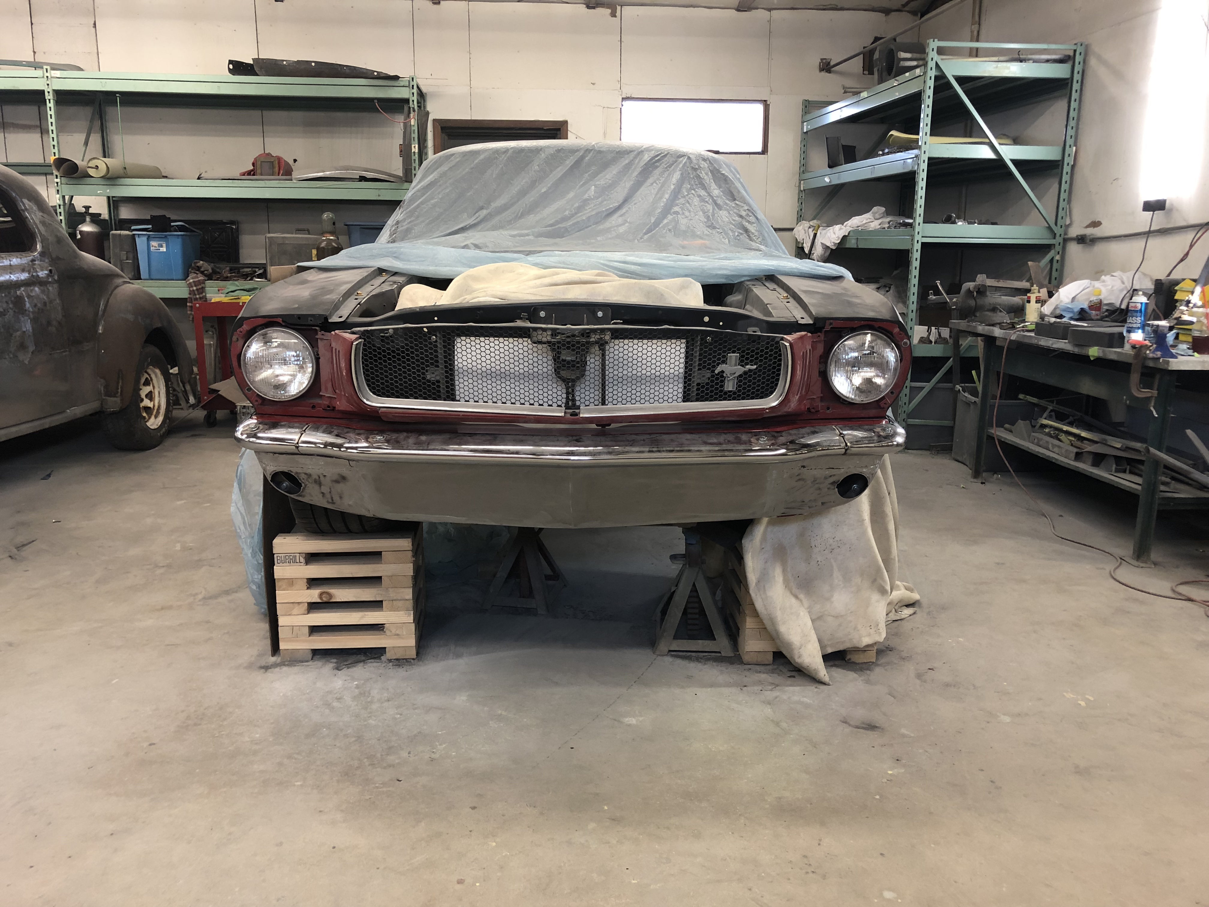 1965 Ford Mustang Fastback Klassy Bastard